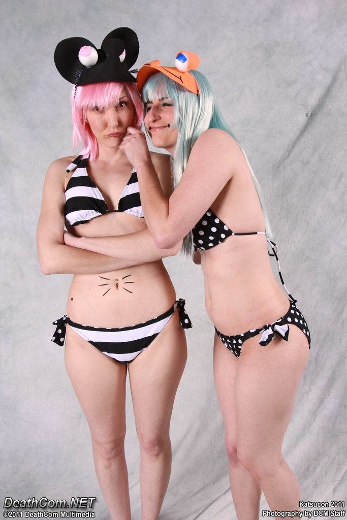 Katsucon_2011_-_Friday_-_0247.jpg