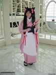 Katsucon_2011_-_Live_-_046.jpg