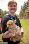 Colossalcon_2013_-_CFJT_-_Baby_Tiger_028.jpg