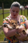 Colossalcon_2013_-_CFJT_-_Baby_Tiger_029.jpg