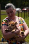 Colossalcon_2013_-_CFJT_-_Baby_Tiger_030.jpg