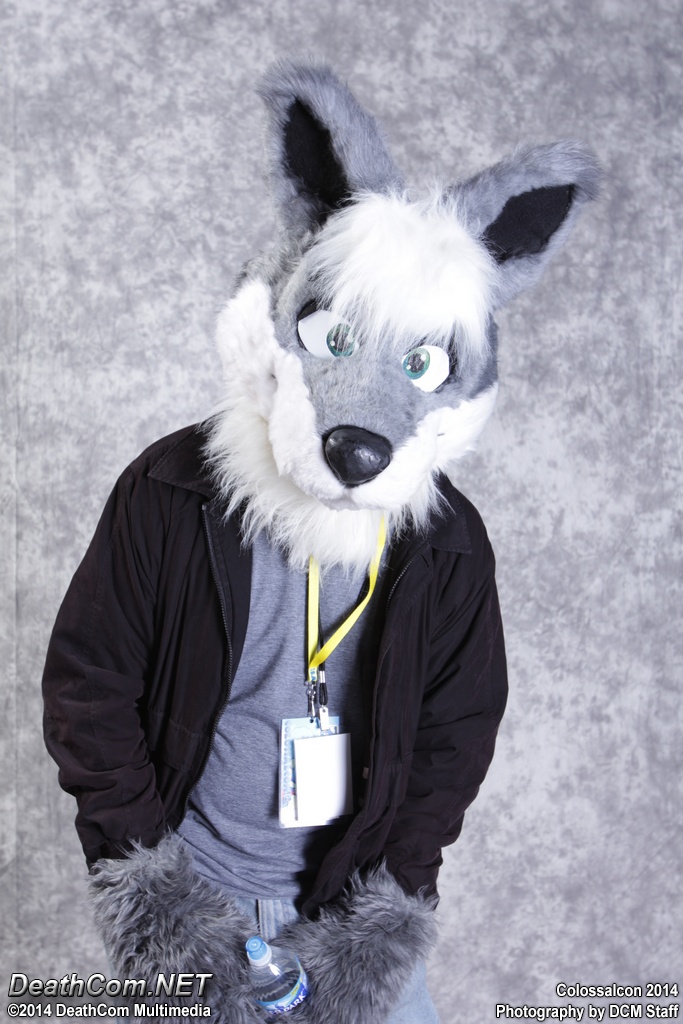Colossalcon_2014_-_Friday_004.JPG