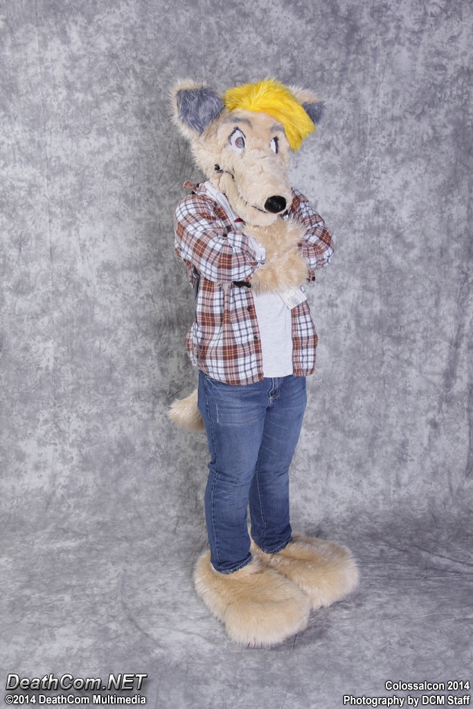 Colossalcon_2014_-_Friday_230.JPG