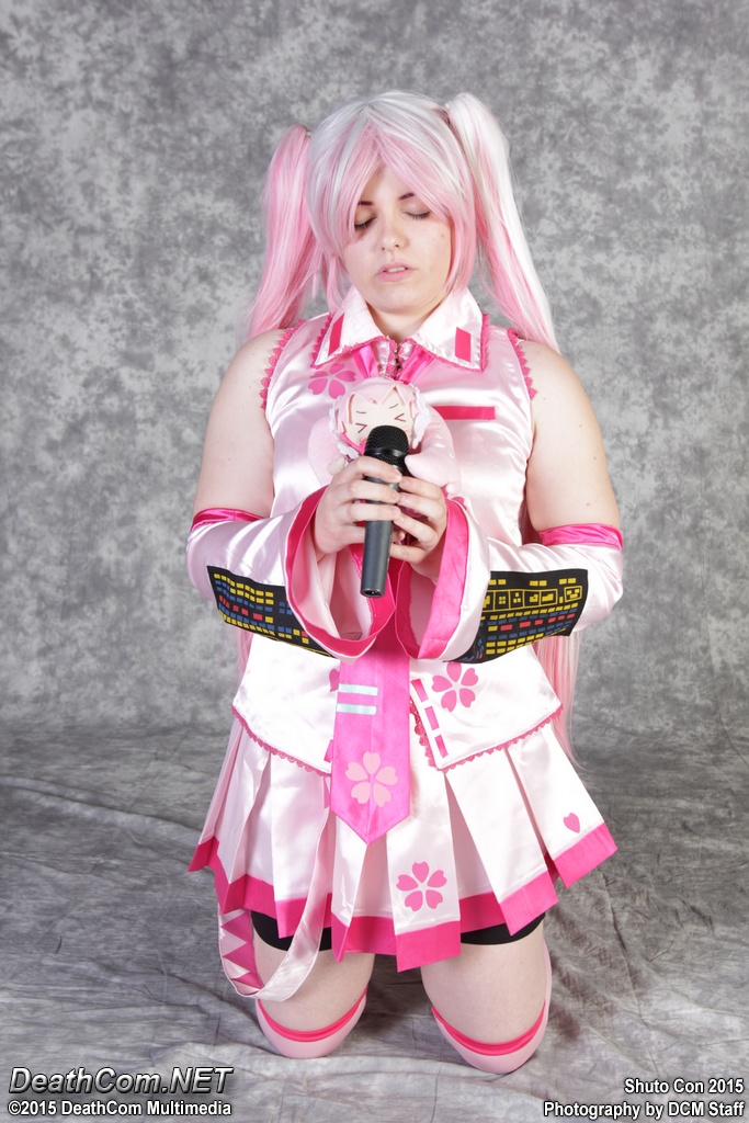 Shuto_Con_2015_-_Saturday_186.jpg