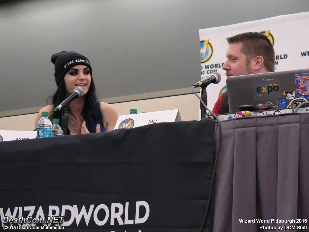 Wizard_World_Pittsburgh_2015_-_Panels_039.jpg