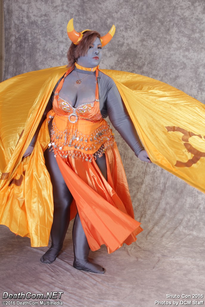 ShutoCon_2016_-_Saturday_250.jpg