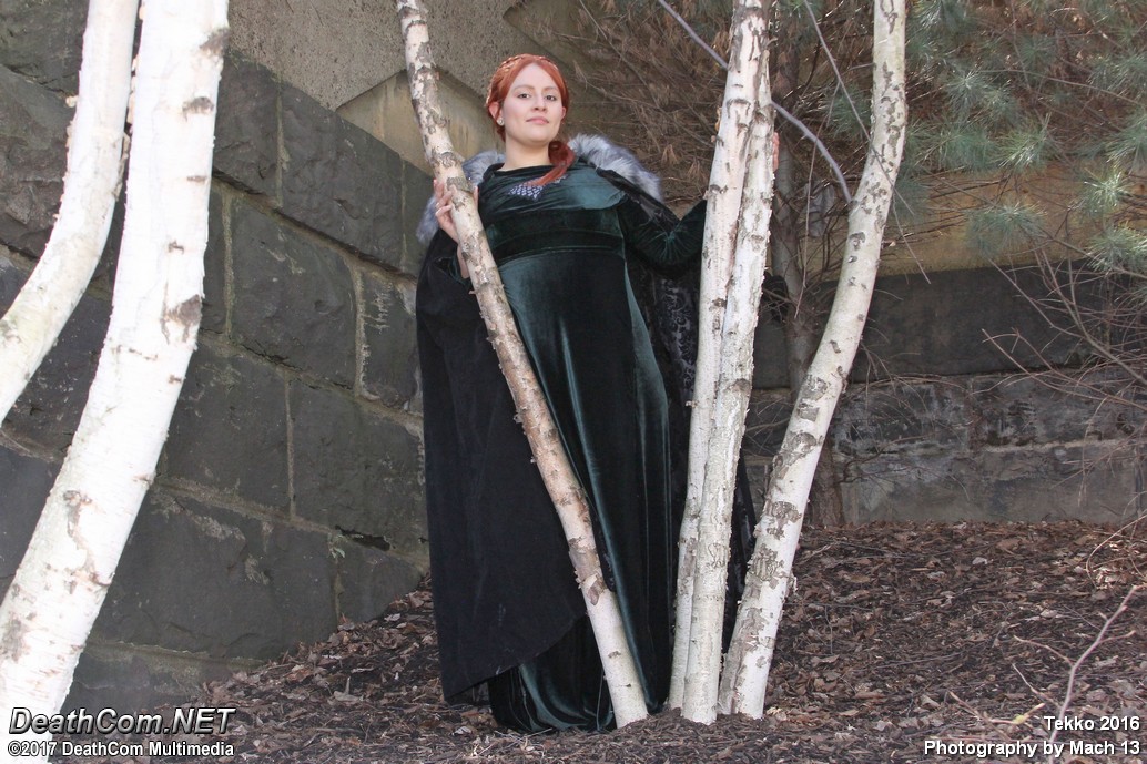 Tekko_2017_-_CF_M13_-_Got_010.jpg